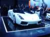 Photo Number 31