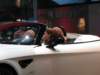 Photo Number 14