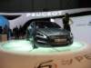 bypeugeot10_small.jpg