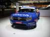 daciadustertropheandros6_small.jpg