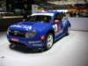 daciadustertropheandros7_small.jpg