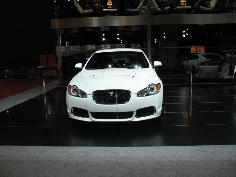 jaguarxfr3.jpg