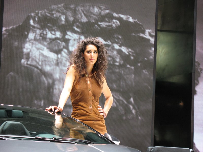 lamborghinigallardolp5604spyder8.jpg