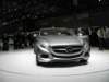 mercedesf800style11_small.jpg