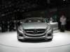 mercedesf800style14_small.jpg
