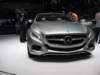 mercedesf800style19_small.jpg