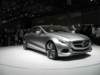 mercedesf800style6_small.jpg