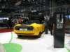 protoscarlampo212_small.jpg