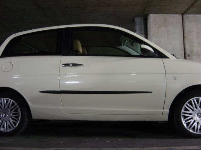 Photograph
