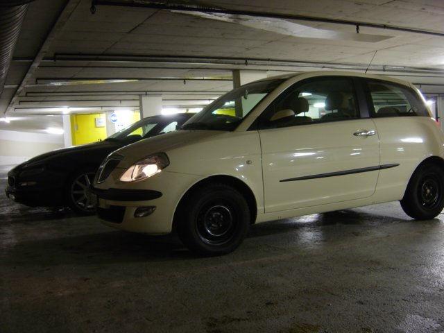 Photograph