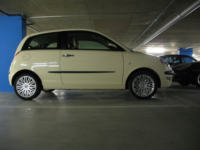 Photograph