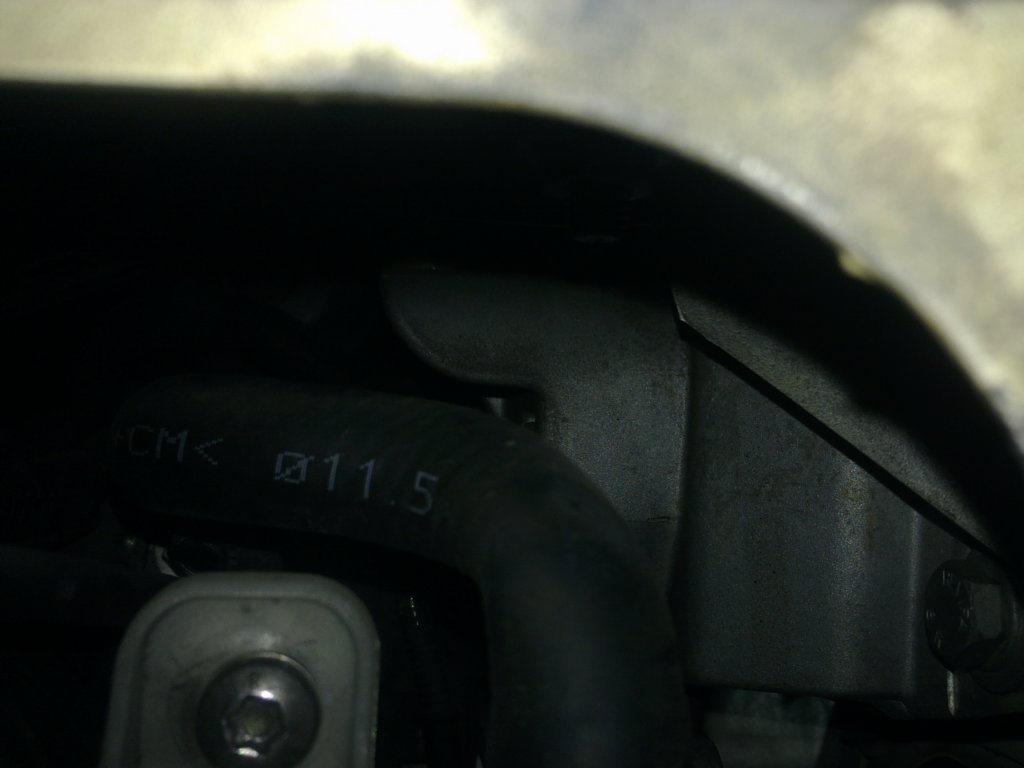 image1983.jpg