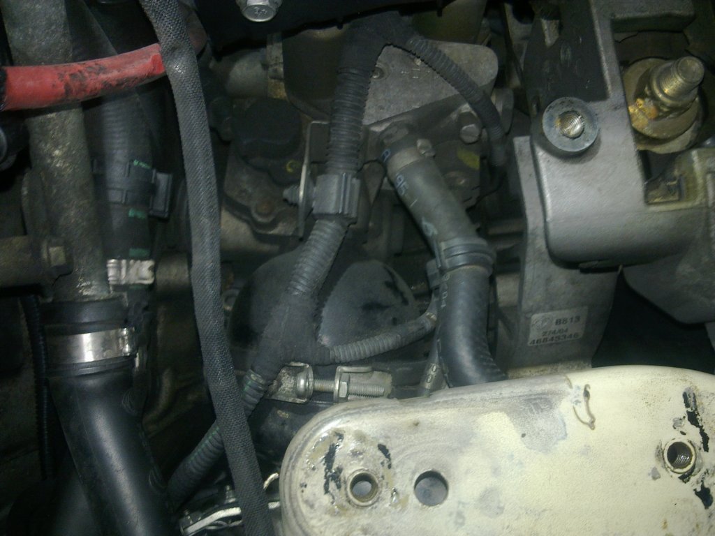 image2058.jpg