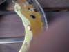 image5858_small.jpg