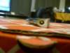 oempart735409024from200439_small.jpg